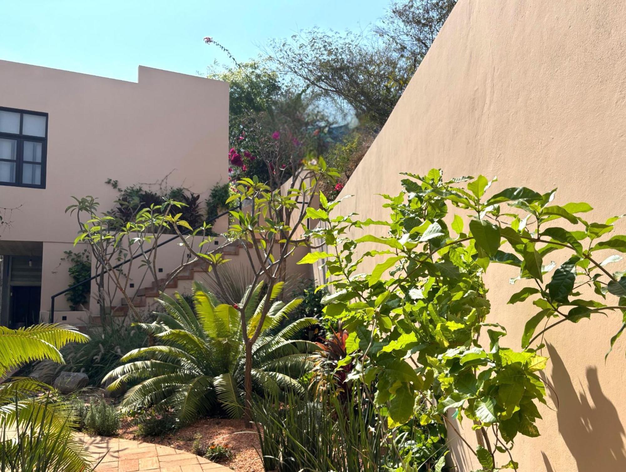 Casa Las Almas Mazunte Bagian luar foto